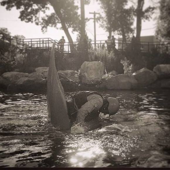 Meet your Posher, Neil - Picture 1 of 1